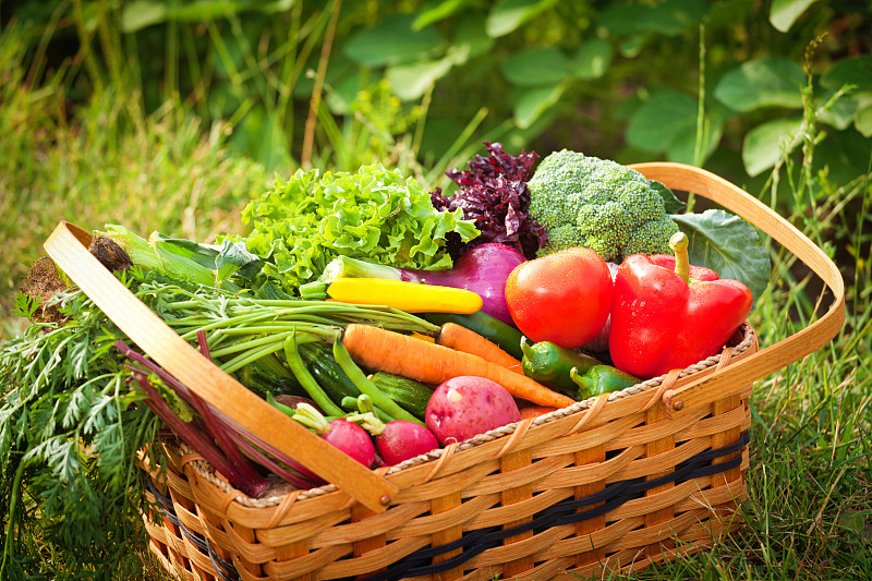 蔬菜,篮子,农作物,清新,田地,菜园,农业市集,农产品市场,罗马莴苣,水果