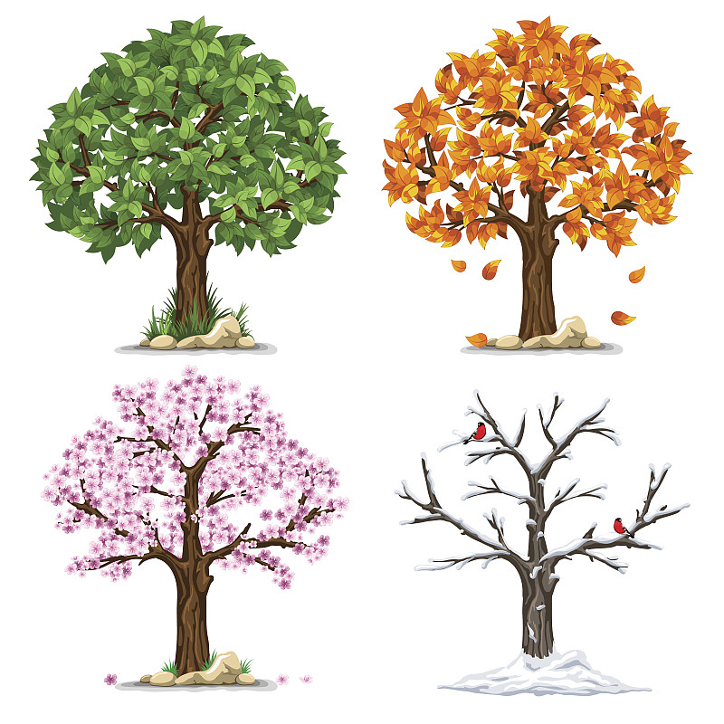 四季,鸟类,想法,植物,园艺,白色,黄色,自然,季节,符号