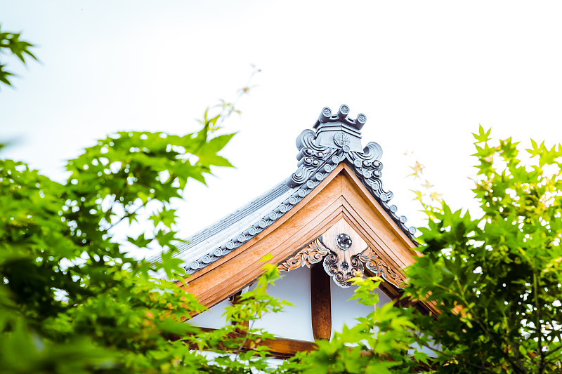 日本,京都府,寺庙,天空,留白,灵性,夏天,图像,过去,明亮