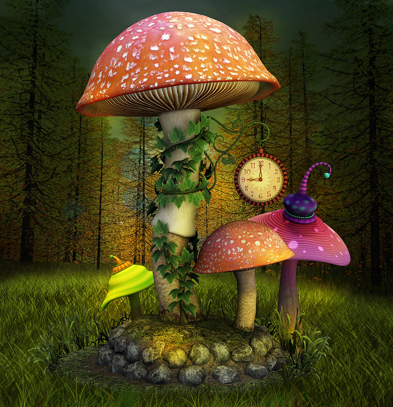 蘑菇,秘密,小精灵,幻想,童话故事,林间空地,常春藤,自然,垂直画幅,草地
