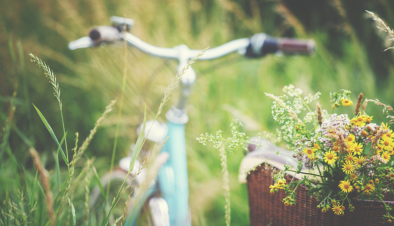 篮子,自行车,野花,静止的,浅蓝色,自行车篮子,选择对焦,留白,水平画幅,勃兰登堡州