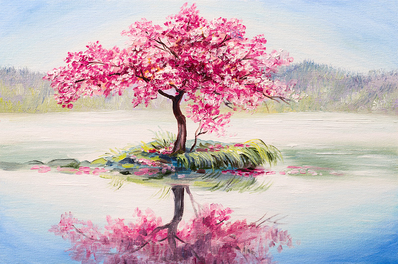 湖,地形,亚洲樱桃树,樱之花,水,里山,艺术,水平画幅