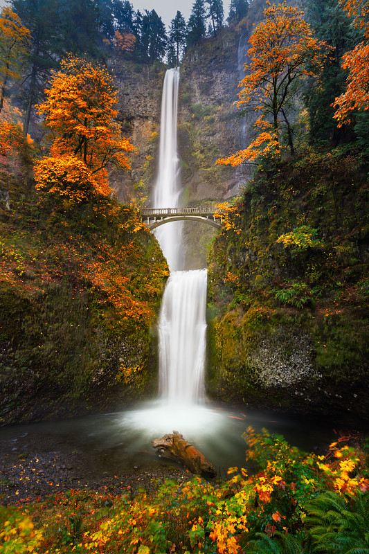 秋天,摩特诺玛瀑布,垂直画幅,水,俄勒冈州,俄勒冈郡,公园,瀑布,百叶窗,户外