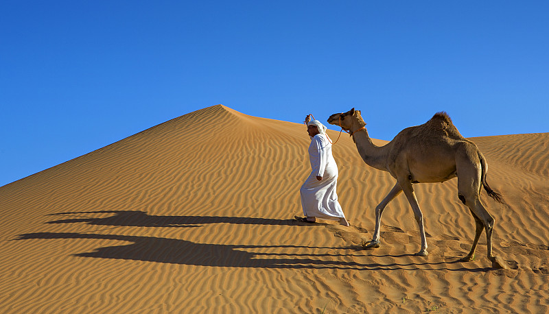 阿拉伯,沙漠,水平画幅,沙丘,无人,户外,骆驼,迪拜,波斯湾,摄影