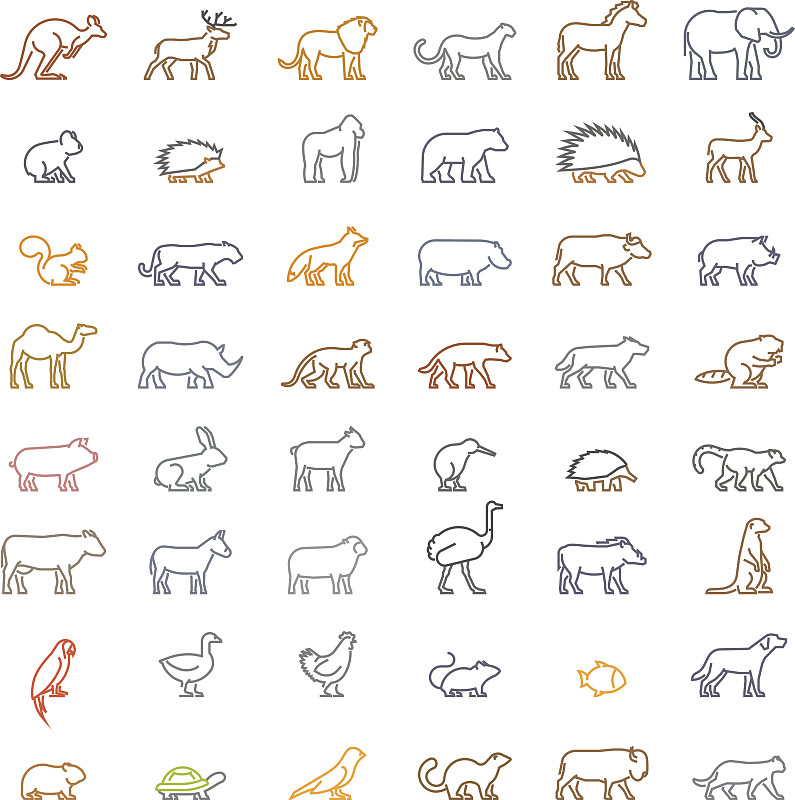 矢量,动物,线条,彩色图片,海岛猫鼬,驴子,绘画插图,猫,马,狮子