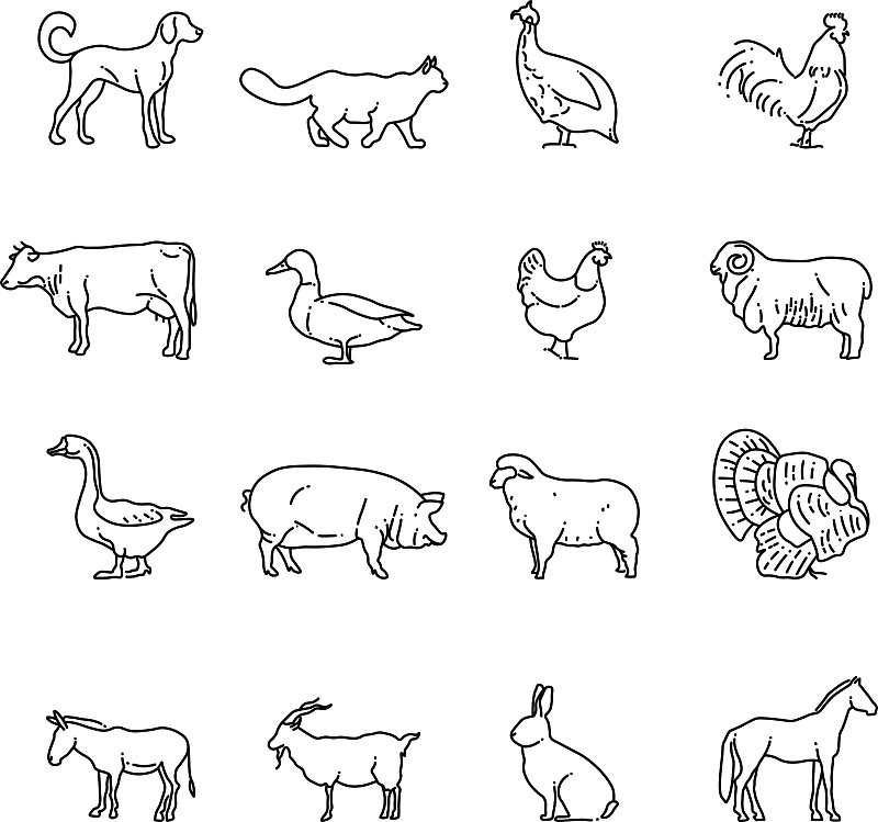 矢量,细的,母牛,轮廓,猪,计算机图标,牲畜,线条,绘画插图