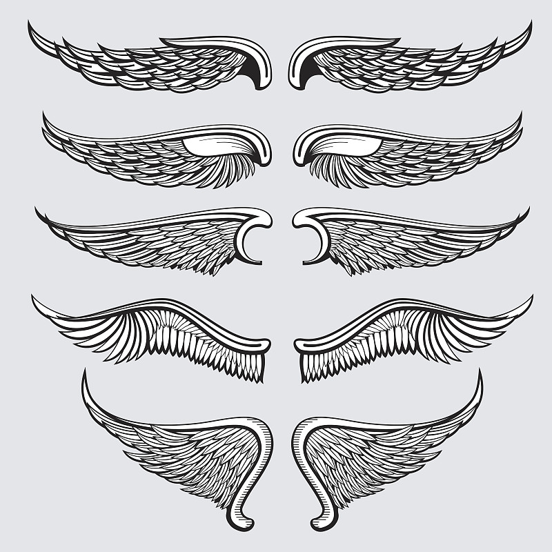 天使,鸟类,矢量,翅膀,鹰,部分,一个物体,背景分离,复古风格,模板