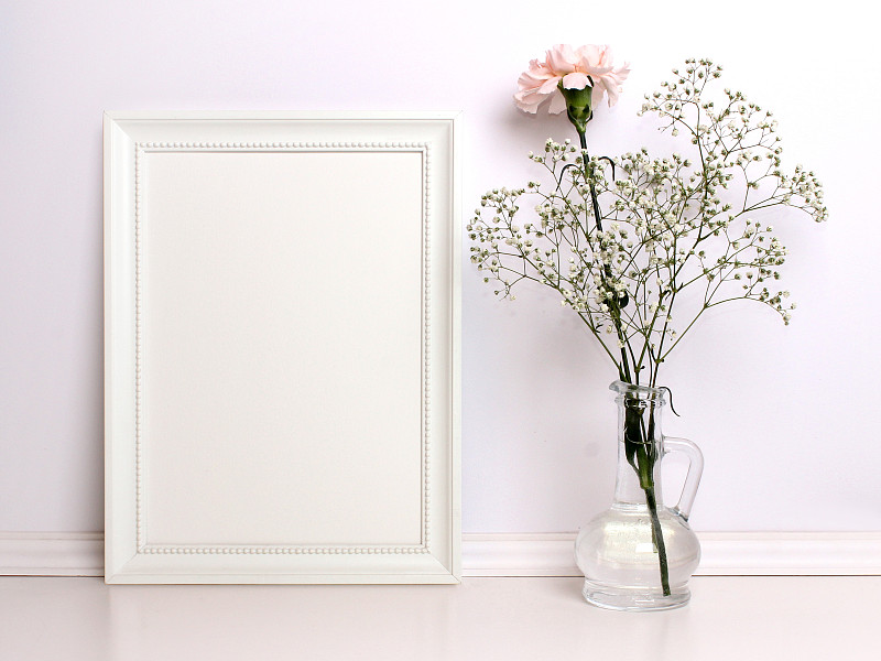 边框,仅一朵花,白色,留白,水香花菜,艺术,水平画幅,墙,无人,古典式