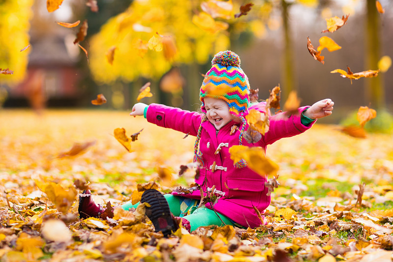 秋天,进行中,公园,金色,女孩,枫叶,十月,幼儿,橡树叶,叶子