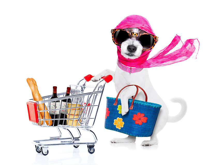 购物中心,狗,女主唱,杰克拉瑟短腿犬,水平画幅,食品杂货,顾客,梗犬,超级市场,购物车