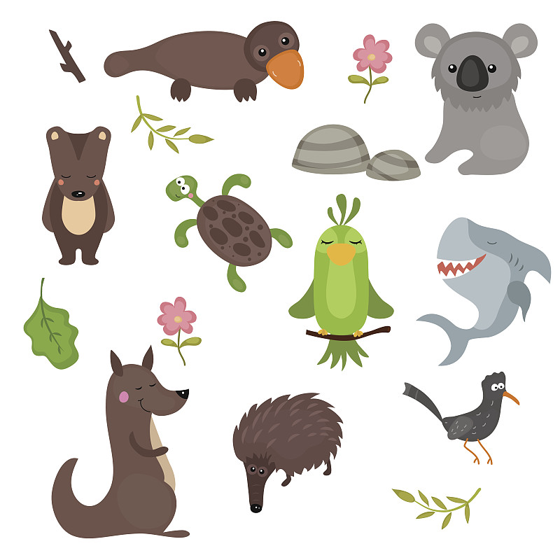 动物,澳大利亚,矢量,反差,可爱的,华丽的,人老心不老,野生动物,玩具,哺乳纲