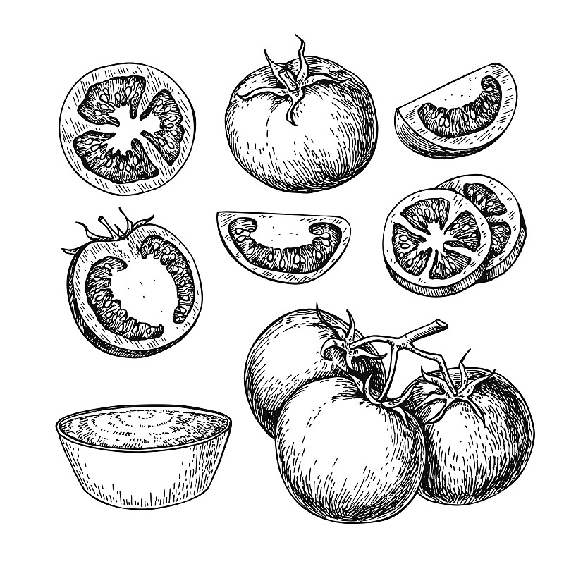 绘画插图,西红柿,矢量,切片食物,汤姆,分离着色,素食,墨水,古典式,生食