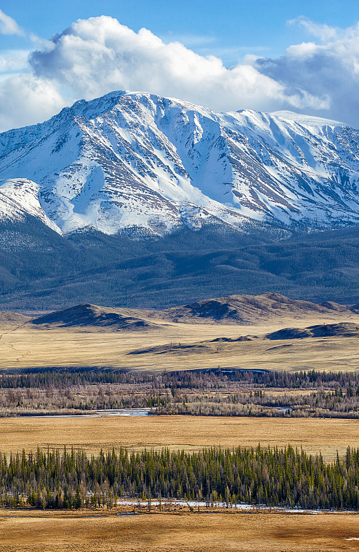 山脊,阿尔泰山脉,居住区,北,痣,落叶松,西伯利亚,垂直画幅,美