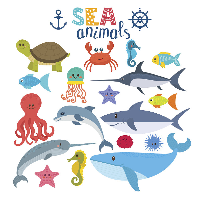 动物,卡通,可爱的,矢量,海洋生命,海豚,鱼类,鲸,鲨鱼,水母