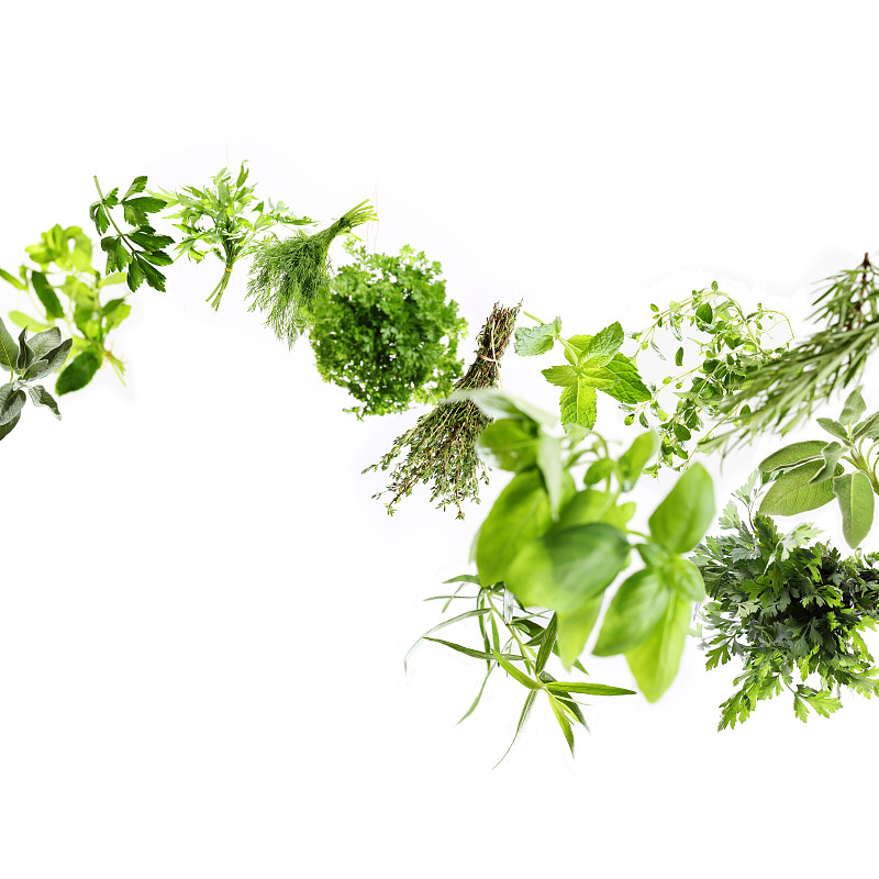 草本,清新,草药,轻轻浮起,花束,绿色,白色背景,叶子,多样,图像聚焦技术