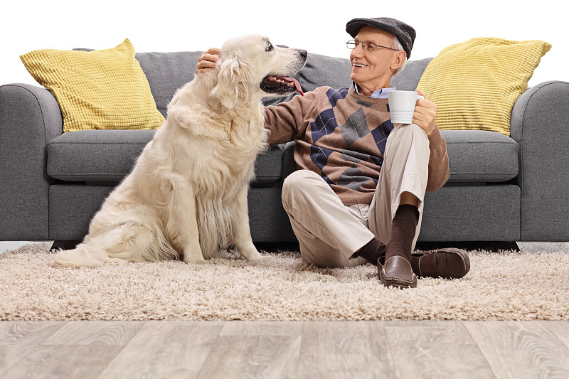 狗,男人,坐在地上,宠物,寻回犬,地毯,老年人,70到90岁,沙发,地板