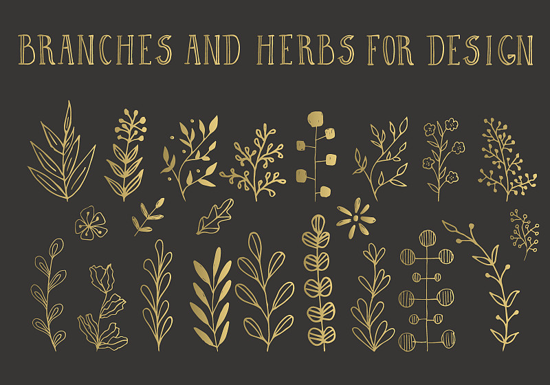 枝,草本,黄金,植物学,铅笔画,灌木,叶子,金色,壁纸刷,花纹