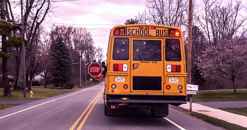 校车,停止标志,应急灯,静止的,红色,机动车背后视角,紧急出口,郊区,巴士,车门
