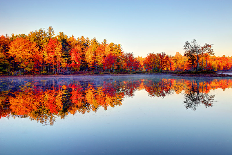 秋天,叶子,池塘,秋季系列,新英格兰,四季,湖,枝繁叶茂,河流