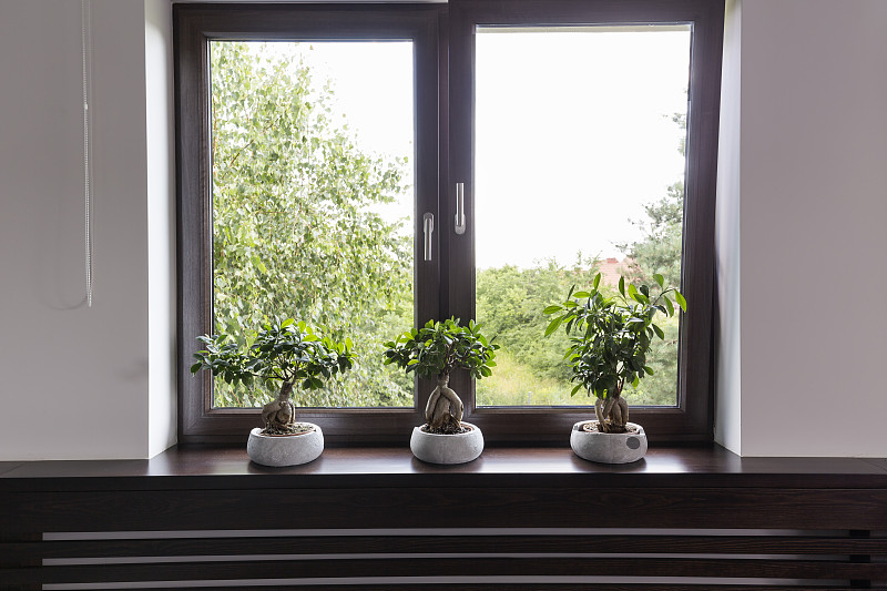 想法,窗户,装饰物,植物群,褐色,边框,窗台,水平画幅,透过窗户往外看,别墅