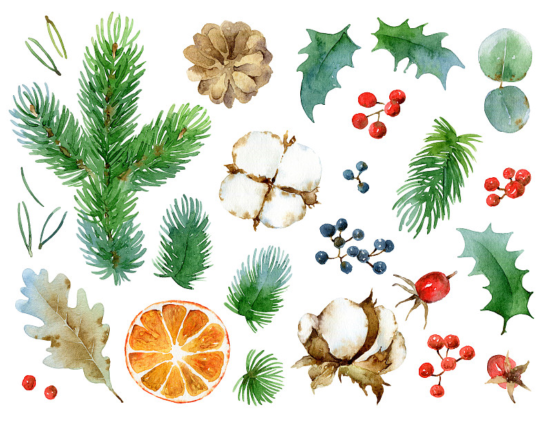 四元素,绘画插图,新年,仅一朵花,橙子,农作物,十二月,新年前夕