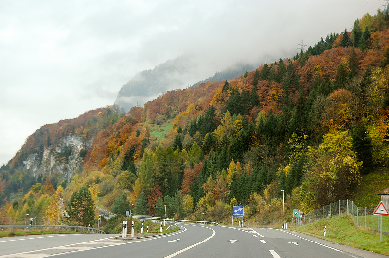 阿尔卑斯山脉,秋天,路,瑞士,伯尔尼,褐色,水平画幅,早晨,旅行者,户外