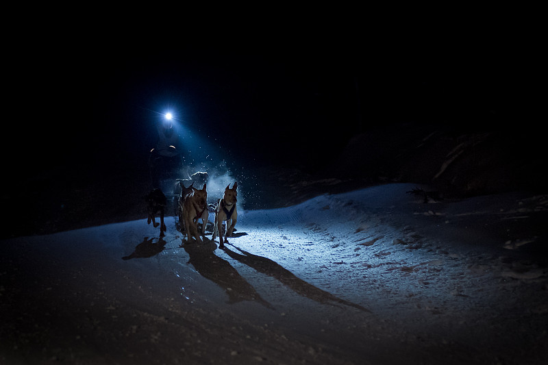 夜晚,雪橇犬,狗拉雪橇驾驶员,水平画幅,山,雪,户外,阿拉斯加雪橇犬,白色,运动