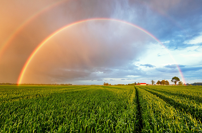 彩虹,小麦,田地,地形,加拿大,农场,斯洛伐克,田园风光,单车道,全麦