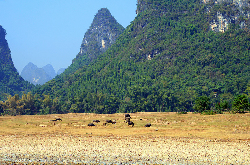 广西壮族自治区,漓江,桂林,风景,阳朔,喀斯特,水平画幅,山,无人,夏天