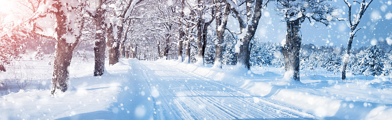 路,冬天,早晨,雪,全景,滑的,白色,自然,旅途,图像