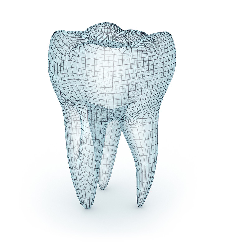 人的牙齿,三维图形,模型,绘画插图,人,金属丝,牙科设备,口腔卫生,贪欲