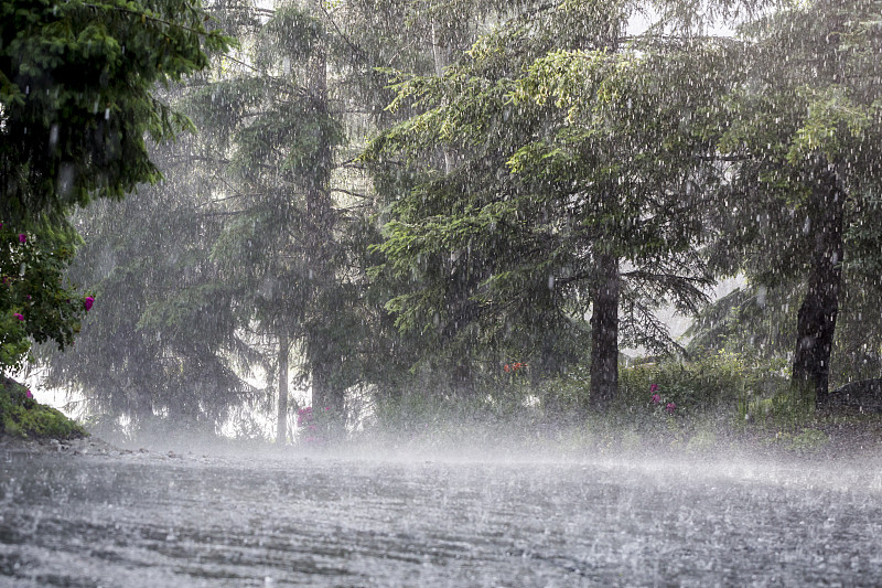 暴风雨,夏天,暴雨,雨,水灾,极端天气,湿,雨滴,损坏的