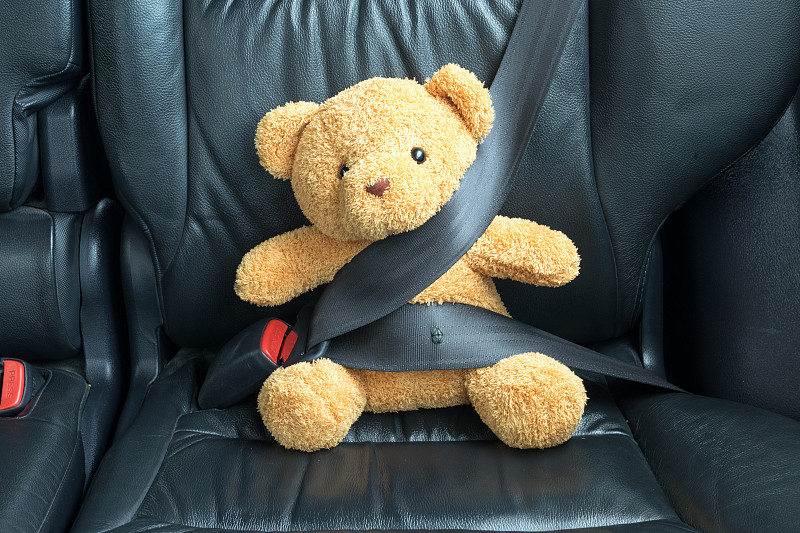 泰迪熊,汽车,后座,扣环,安全带,座位,安全的,车座,保险代理人
