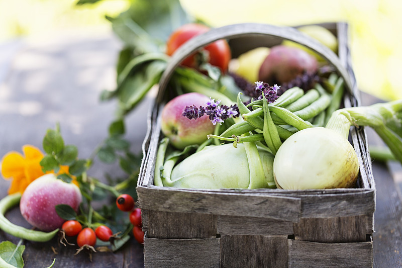 菜园,蔬菜,清新,大头菜,篮子,野玫瑰果,土产,水平画幅,绿色,水果