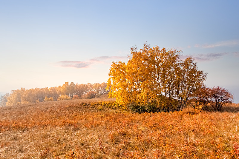秋天,自然美,平原,内蒙古自治区,草原,水平画幅,无人,早晨,户外,草