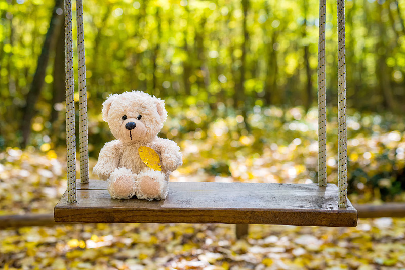 泰迪熊,公园,秋天,褐色,水平画幅,进行中,古老的,古典式,熊