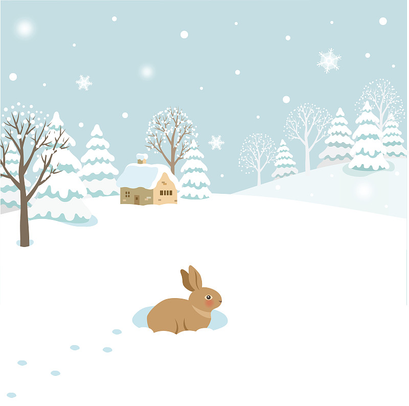雪,地形,冬天,兔子,非都市风光,雪兔,秃树,野兔,十二月,可爱的