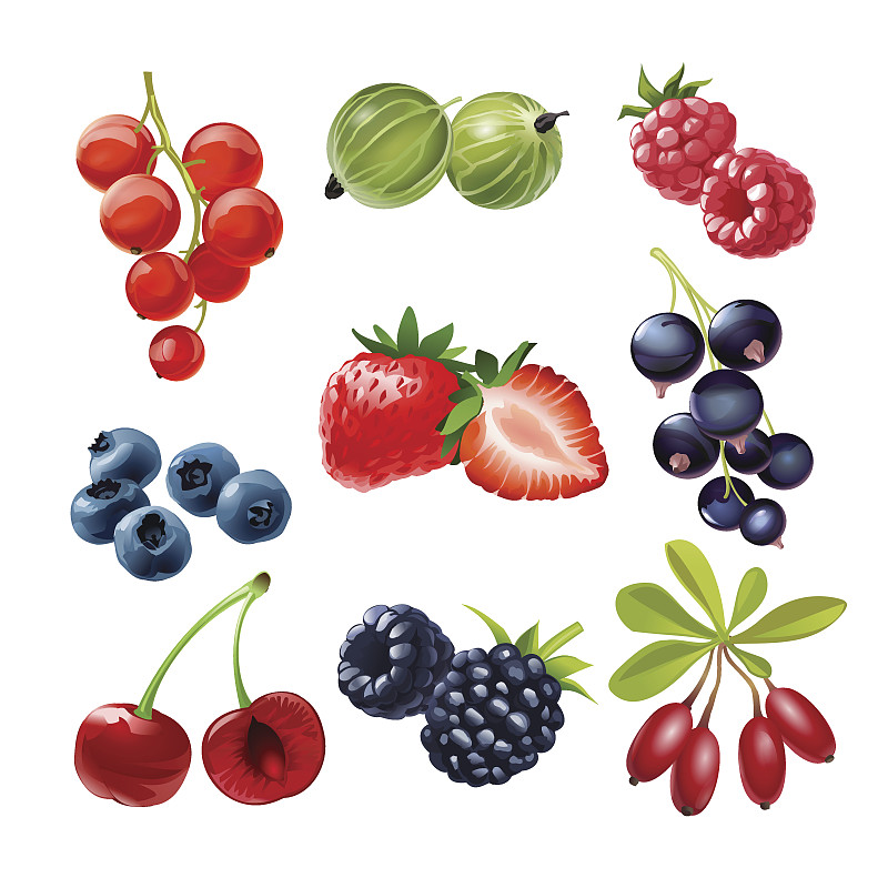 符号,矢量,浆果,熟的,覆盆子,蓝莓,越橘,小檗科,草莓,枸杞