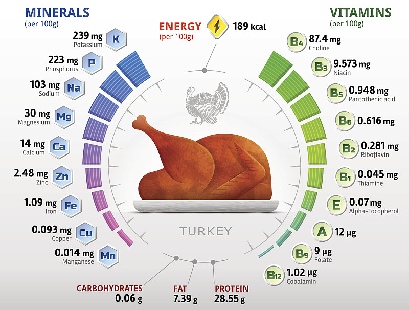 烤火鸡,营养品,化学元素周期表,维生素a,计划书,维生素e,维生素b,烤的,碳水化合物,食品