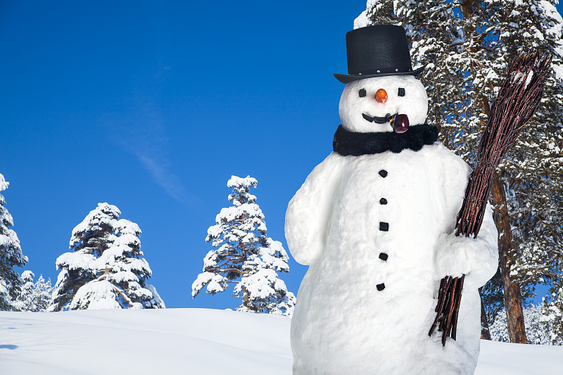 大礼帽,雪人,扫帚,烟斗,森林,雕塑,雪球,天空,贺卡,雪