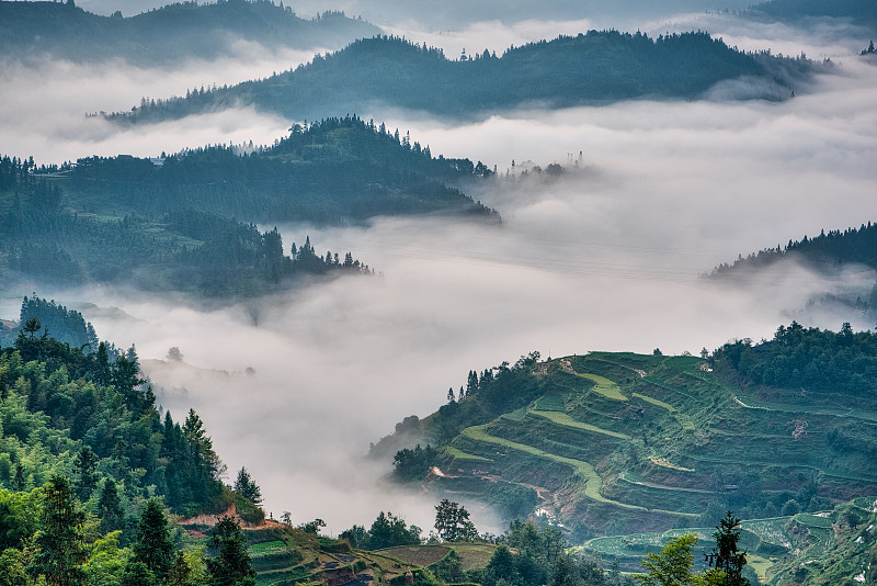 梯田,早晨,雾,稻,贵州省,水,天空,美,水平画幅,山