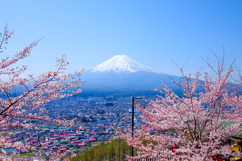 富士山,富士吉田,樱之花,日式洗手盆,樱桃树,泉,水平画幅,无人,户外,屋顶