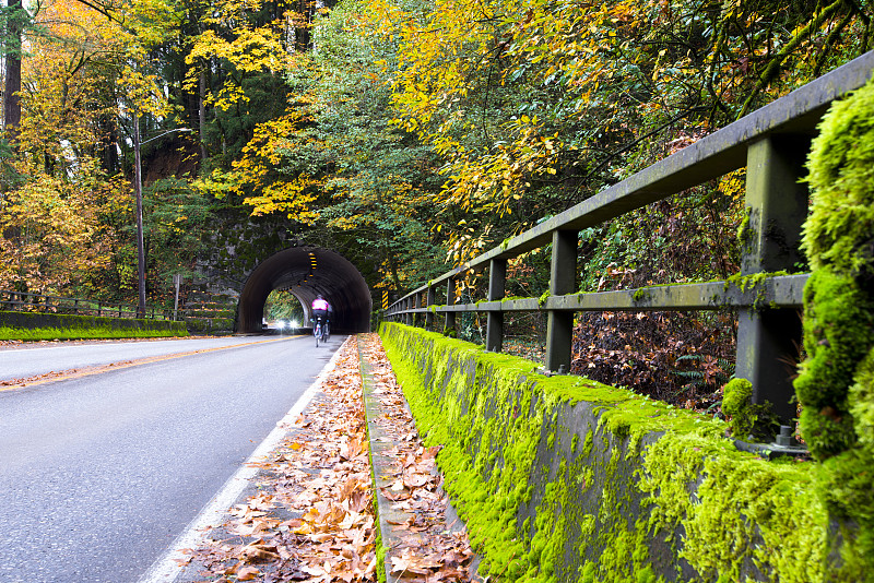 秋天,路,隧道,森林,山口,俄勒冈州,一见钟情,克服困难,古老的,苔藓