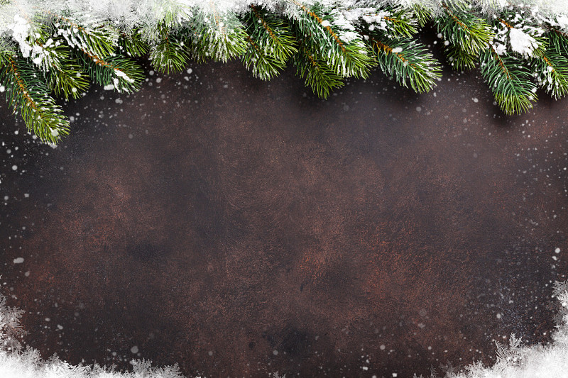 雪,杉树,背景,贺卡,留白,边框,水平画幅,高视角,纹理效果