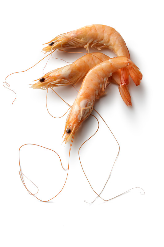 虾,海产,白色背景,分离着色,甜虾,明虾,甲壳动物,三个物体,垂直画幅,高视角