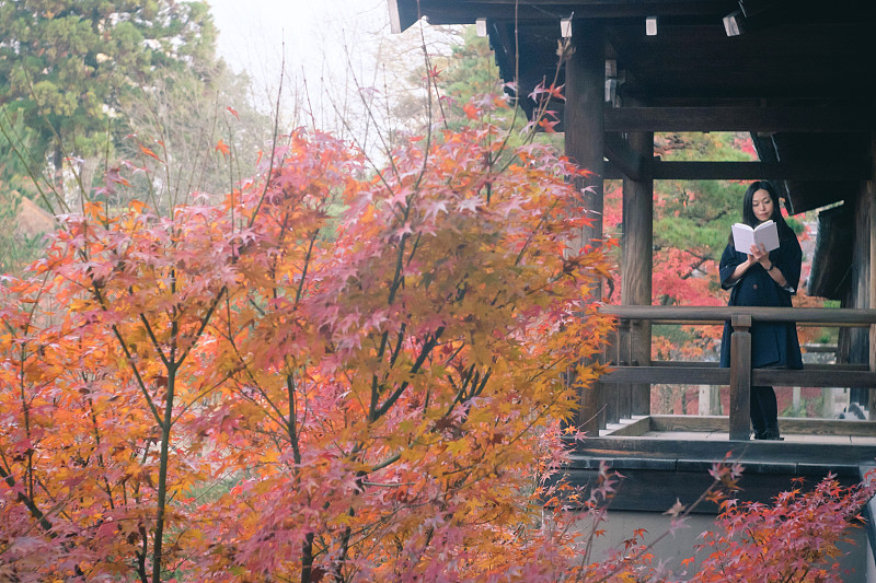 京都府,日本人,书,女人,寺庙,东福寺,书店,rinzai禅宗佛教,鸡爪枫,四季