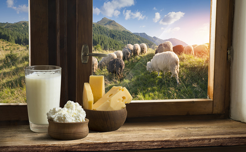瑞士,野餐,奶酪,阿尔卑斯山脉,牛奶,草地,瑞士阿尔卑斯山,山,水平画幅,雪