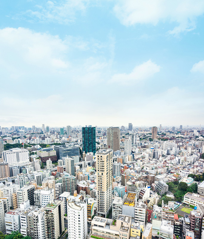 现代,东京,全景,日本,城市,航拍视角,垂直画幅,天空,美,城镇景观