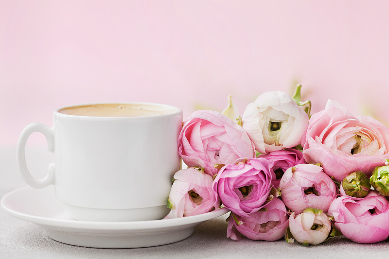 仅一朵花,咖啡杯,毛茛属植物,自然美,春天,节日,概念,贺卡,留白,芳香的