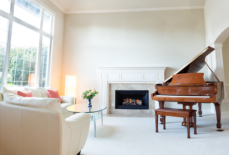 沙发,钢琴,起居室,华丽的,皮革,留白,水平画幅,墙,无人,椅子